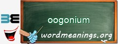 WordMeaning blackboard for oogonium